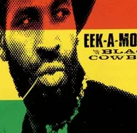 Eek-A-Mouse