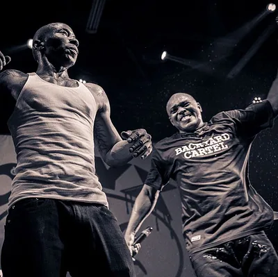 Onyx — photo 3