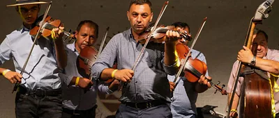 Palatca Village Band — photo 1