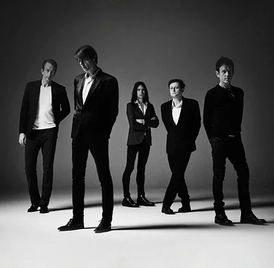 Suede — photo 5