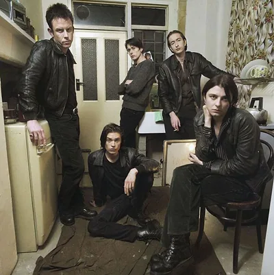Suede — photo 3