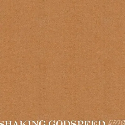 Shaking Godspeed — photo 1