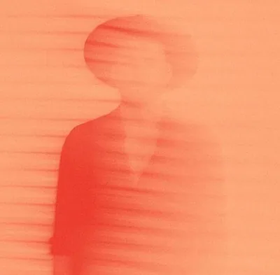 Monolink — photo 1