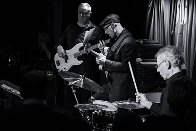 Pete Roth Trio — photo 1