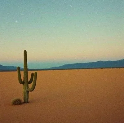 Kaleida — foto 1