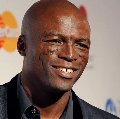 Seal — photo 1