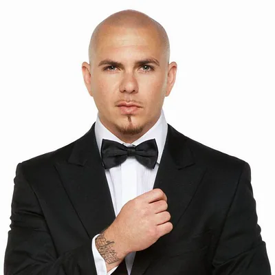 Pitbull — foto 3