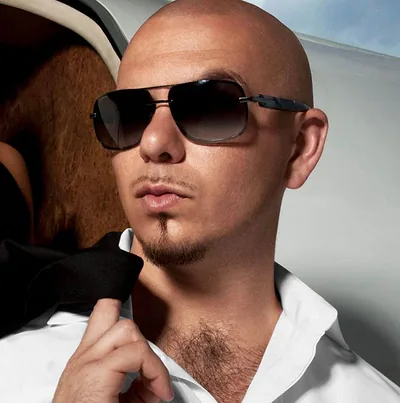 Pitbull — foto 4