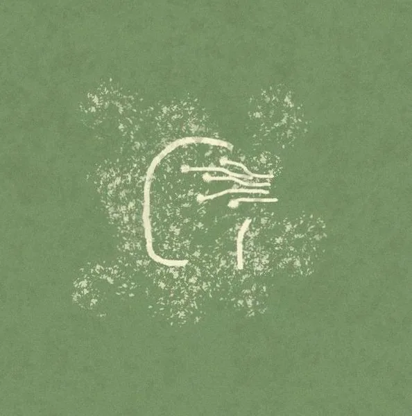Eluvium — achtergrondafbeelding