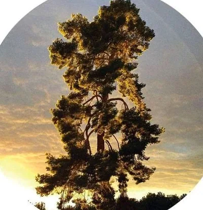 Bon Iver — foto 1