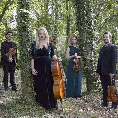 Piatti Quartet — photo 1