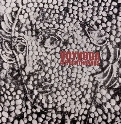 Voyvoda — foto 1