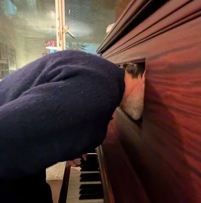 Patrick Watson — foto 1
