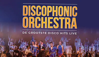 Discophonic Orchestra — photo 1