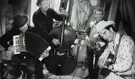 Bayou Mosquitos