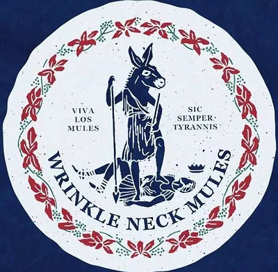 Wrinkle Neck Mules — foto 1