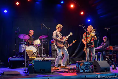 CAT FEVER BAND — foto 1