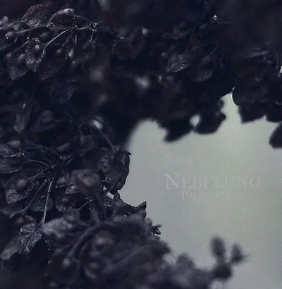 Nebelung — foto 1