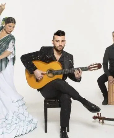 Daniel Martinez Flamenco Company — photo 1