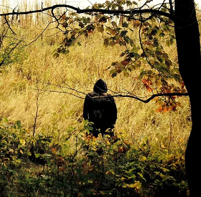 Panopticon — foto 4