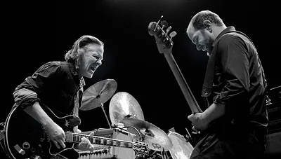 Swans — foto 4