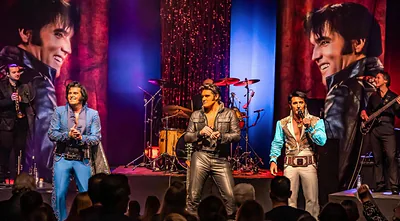 Elvis Forever — foto 1