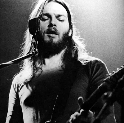 David Gilmour — photo 5