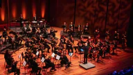 Flevolands Philharmonisch Orkest