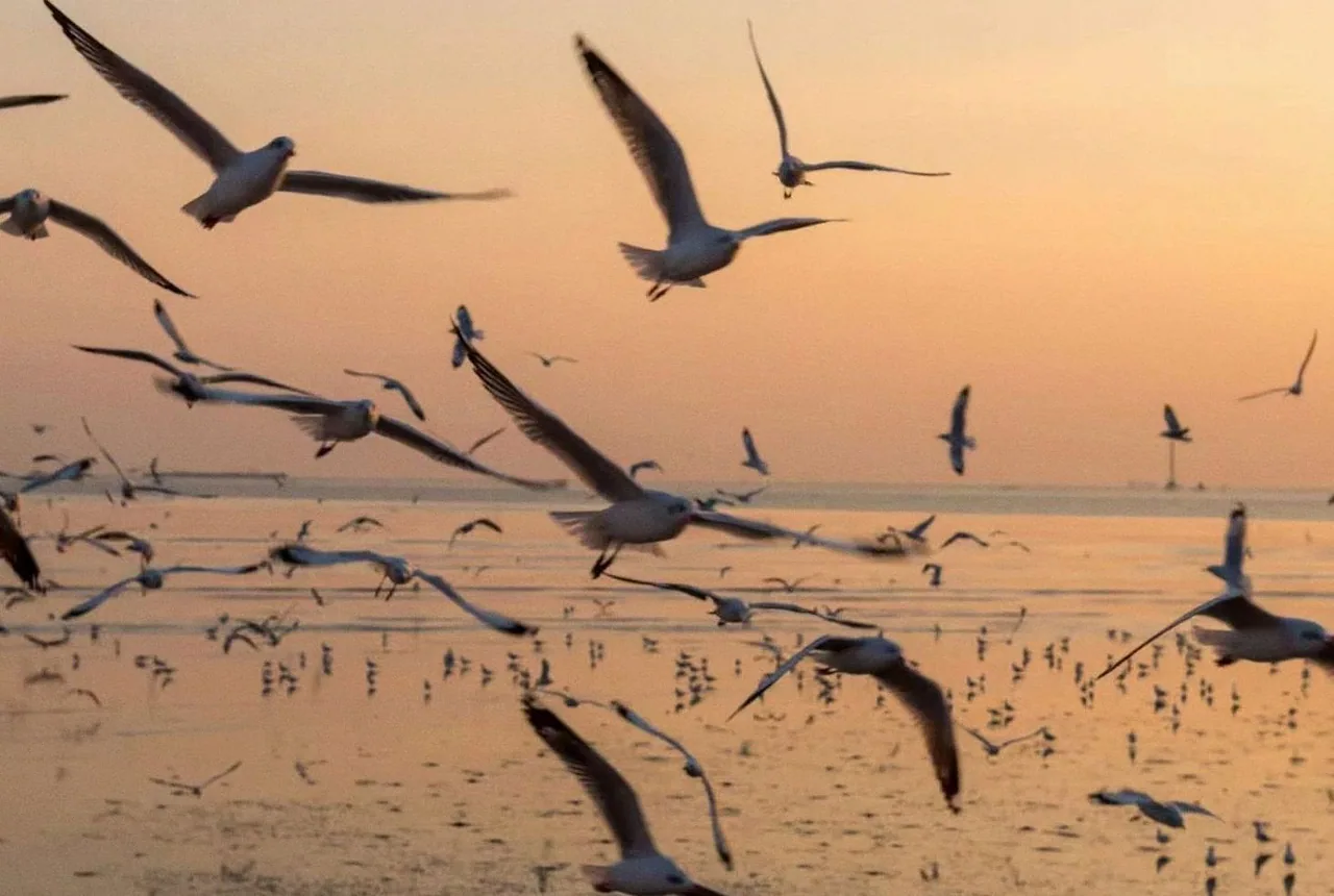 Flyway — background image