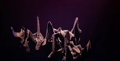 LaPiratesse — photo 1