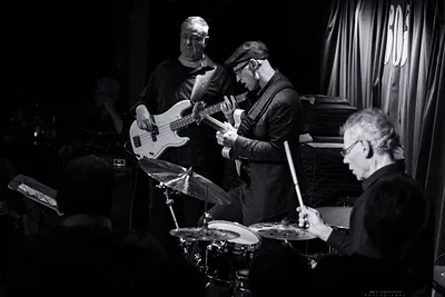 Pete Roth Trio — foto 1