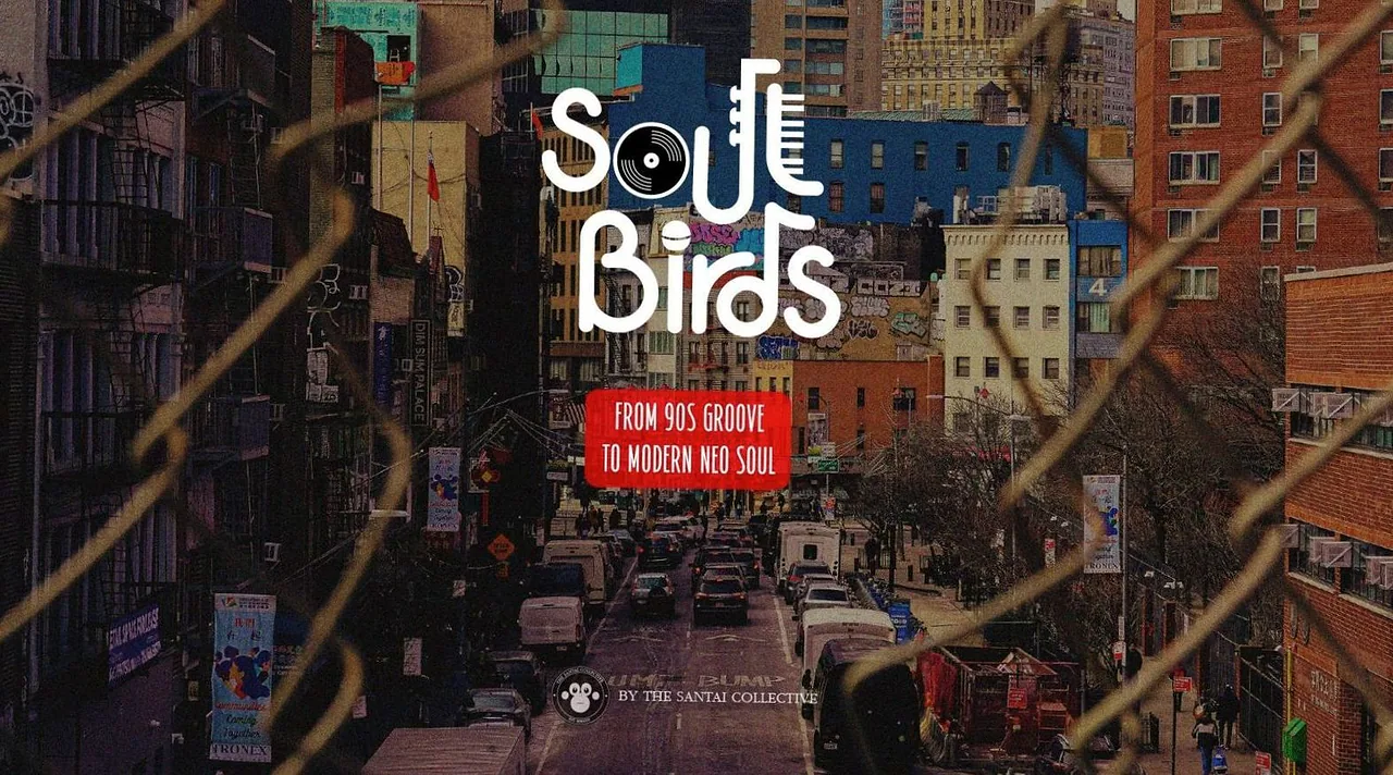 SOUL BIRDS