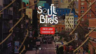 SOUL BIRDS
