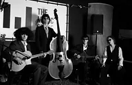 The Lyrebirds