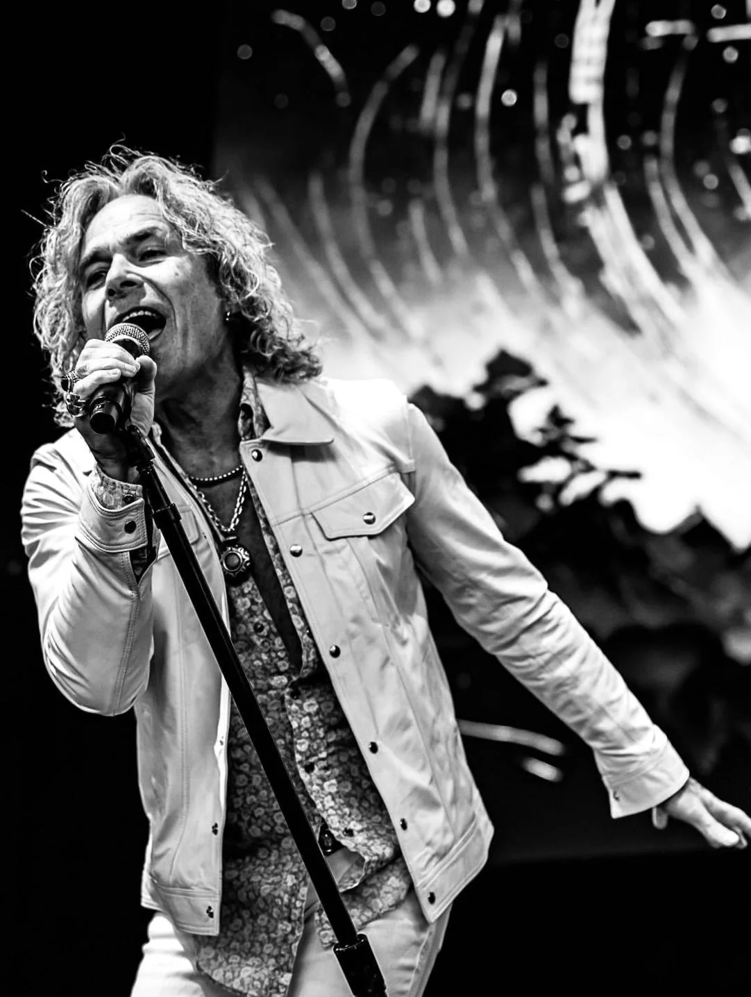 White Lion