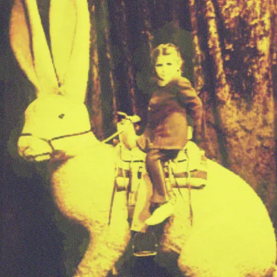 Rabbitology — foto 1
