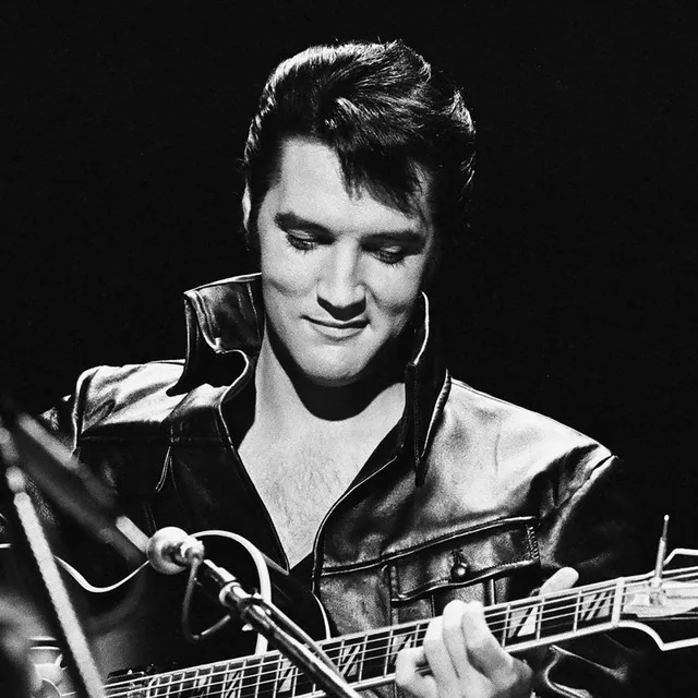 The Wanderers: Tribute to Young Elvis · De Spot, Middelburg · Fri, 21 May 2027