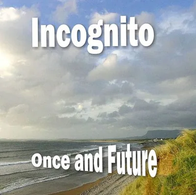 Incognito — foto 2