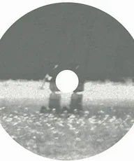 plainhead