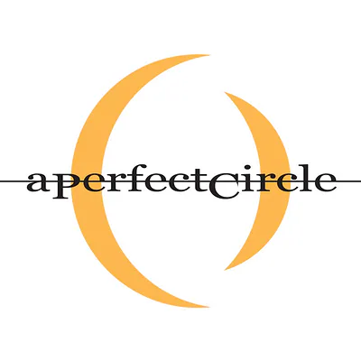 A Perfect Circle — foto 1