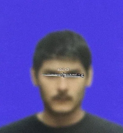 Verraco — foto 1