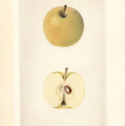 Nobuto Suda — photo 1