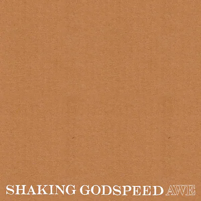 Shaking Godspeed — photo 1