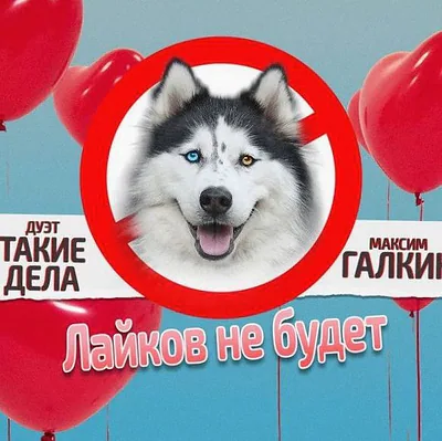 Maxim Galkin — foto 1
