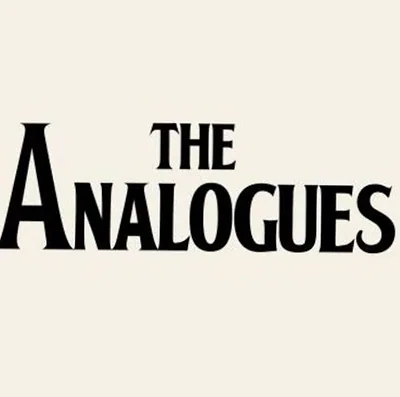 The Analogues — foto 2