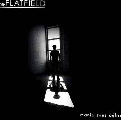 The Flatfield — photo 1