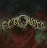 Ectovoid