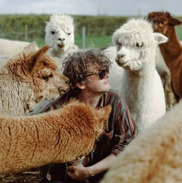 Bill Ryder-Jones