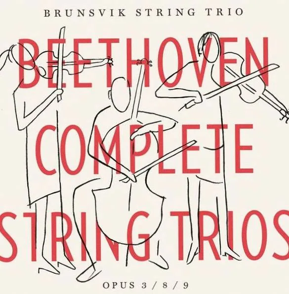 Brunsvik String Trio — background image