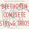 Brunsvik String Trio